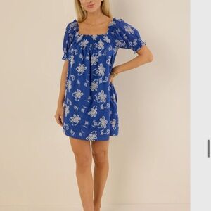 Landon embroidered Blue Floral Mini Dress